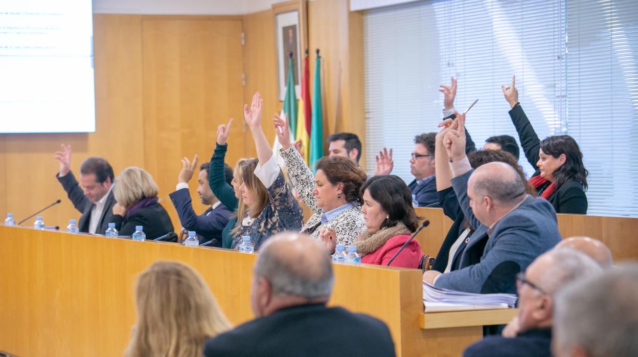 Los diputados de la bancada socialista levantan la mano durante el pleno de este pasado jueves