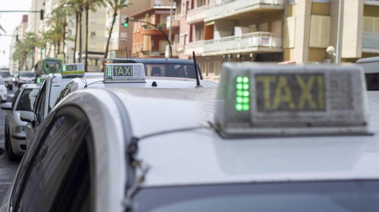 Taxis estacionados en Cádiz.