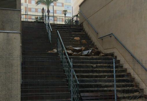 El tiempo en Cádiz: Elsa tira la palmera inclinada de la Plaza de la Catedral en Cádiz