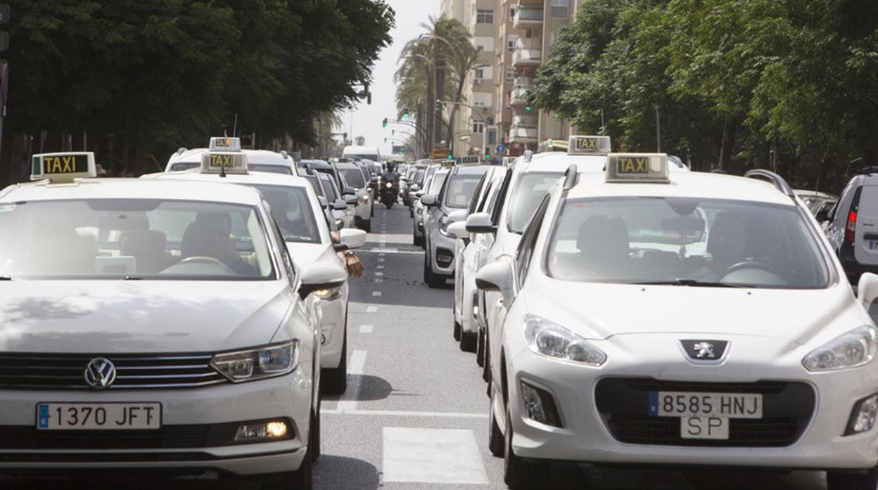 Taxistas de Cádiz, preocupados por la llegada de Uber en Carnaval