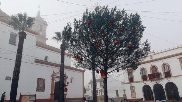 Recuperar una nochevieja sin petardos en Villamanrique de la Condesa