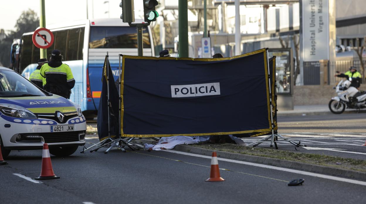 Agentes de la Policía Local de Sevilla intervienen en uno de los accidentes de moto ocurridos en 2019