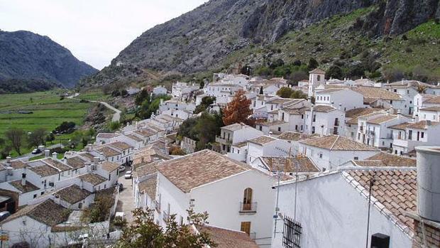 Leña gratis para que ningún vecino de Villaluenga pase frío este invierno