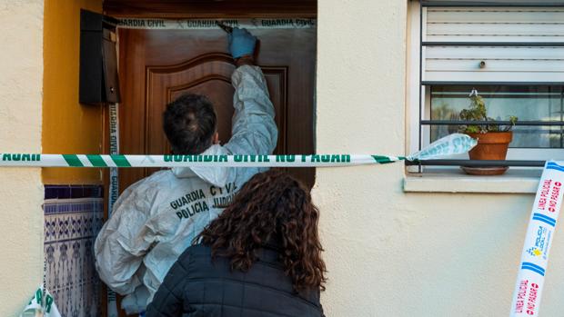 El hombre que rescató a la mujer de Castilleja: «No lo pensé. Salté y aparté al marido»