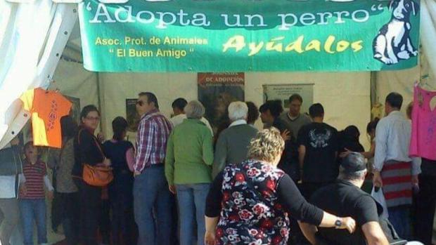 Los Palacios organiza la I Semana del Bienestar Animal «El Buen Amigo»