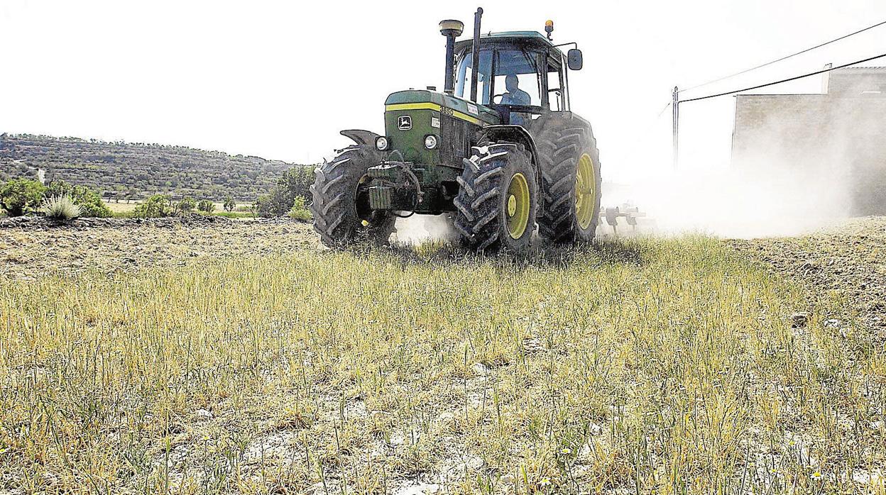 Un tractor comienza a arar uno de los campos de cultivo.