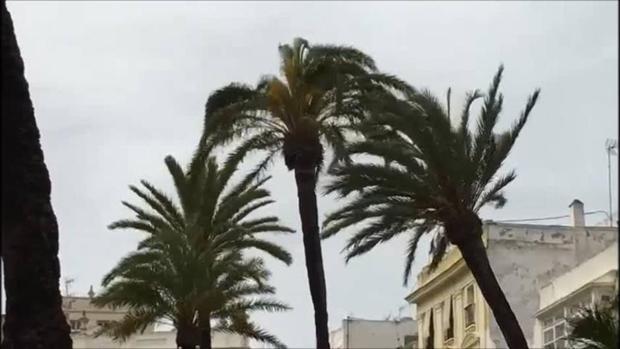 Cádiz registra rachas de viento de hasta 95 km/hora