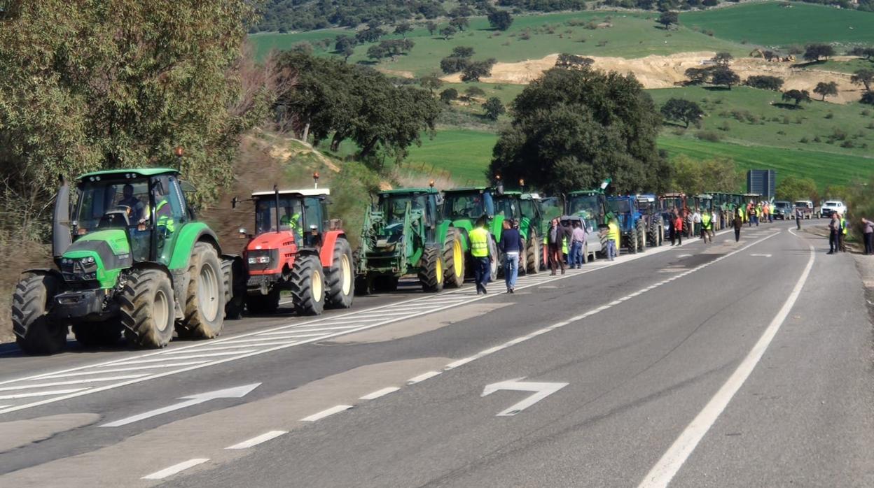 Movilizaciones en la Sierra de Cádiz.