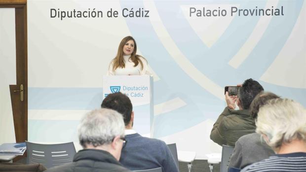 Diputación moviliza 16,8 millones de euros en dos programas de empleo y formación