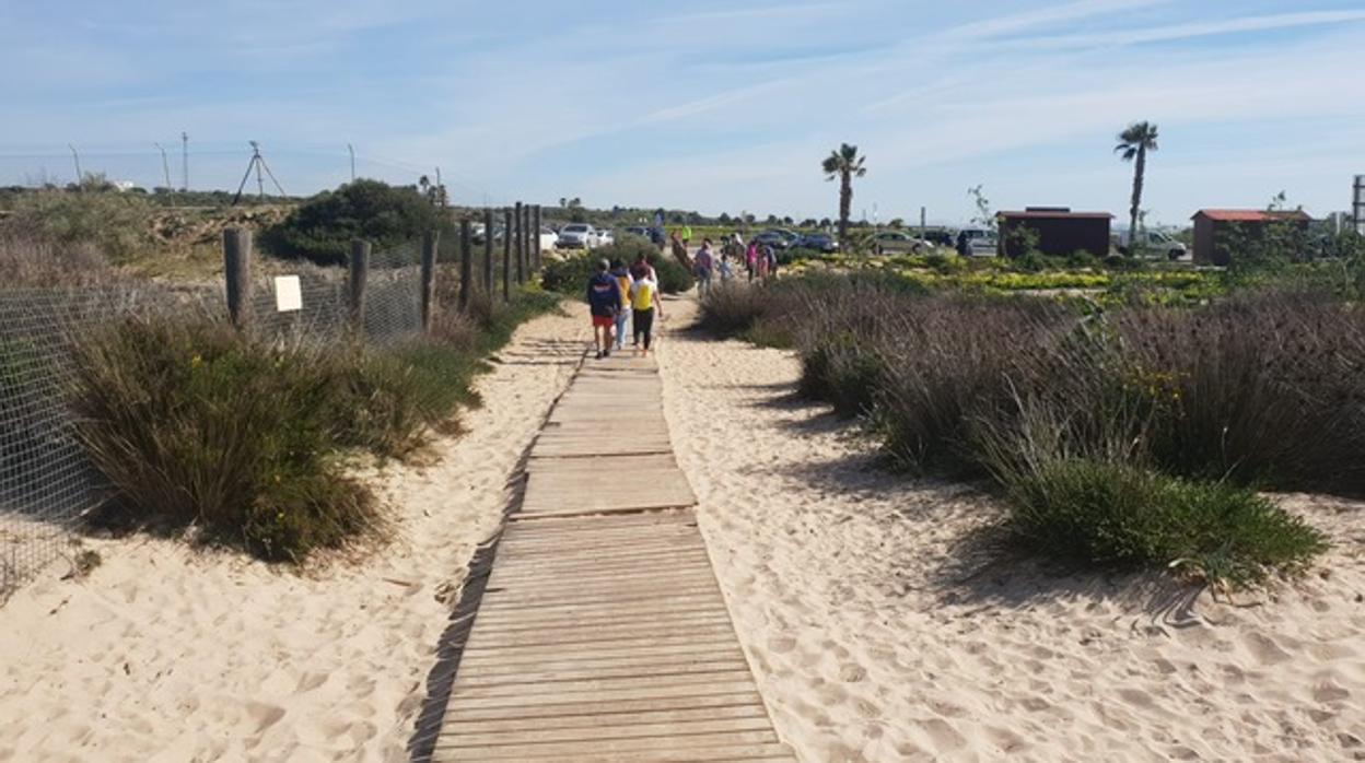 Los isleños reclaman mejoras de accesibilidad en la playa Camposoto