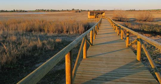 Pasarela camino de un mirador para avistamiento de avifauna