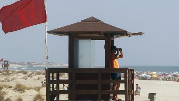 Bandera roja en las playas y cierre de parques y jardines en Cádiz