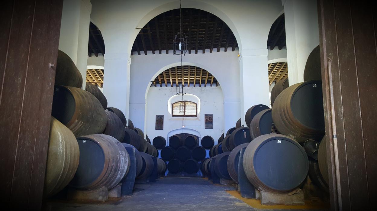 Una de las bodegas pertenecientes a la asociación