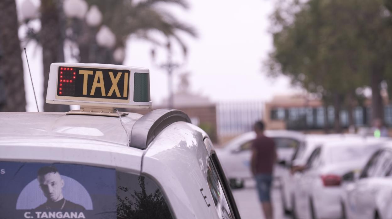 Taxistas de Cádiz podrán suspender sus licencias durante el estado de alarma.