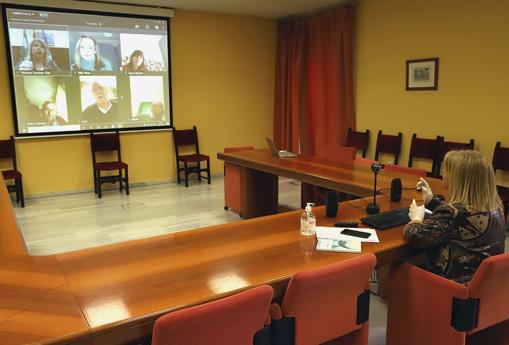 Así teletrabajan los políticos gaditanos en tiempos de coronavirus