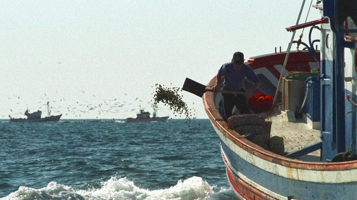 Cierran la pesquería de la chirla al superar el tope de capturas