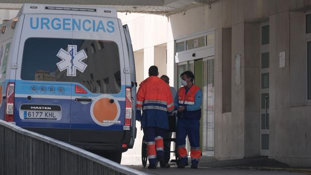 Cádiz también sufre la falta de tests: «Hay muchos casos de coronavirus que no constan en las estadísticas»