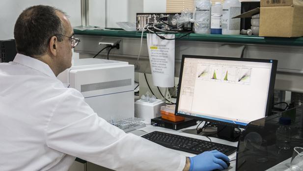 UCA e INIBICA trabajan en un novedoso test rápido para detectar el Covid-19 que identifique anticuerpos