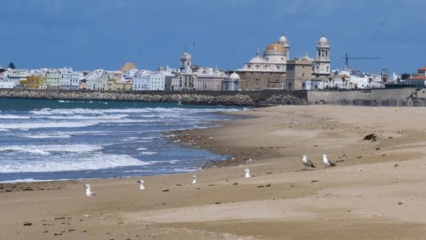 ¿Las playas abrirán este domingo para que puedan pasear los niños?