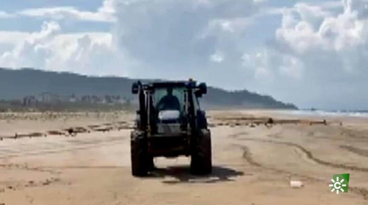 Polémica en Zahara de los Atunes por fumigar sus playas con lejía