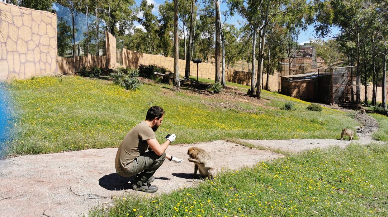 Un cuidador de la Reserva de El Castillo de las Guardas alimenta a un mono