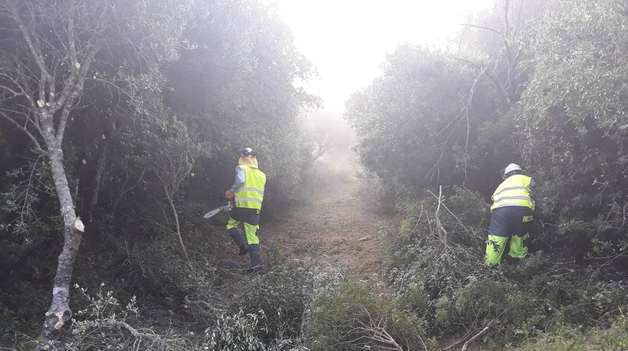 Los trabajos se han iniciado este mes de mayo y durarán unos 18 meses