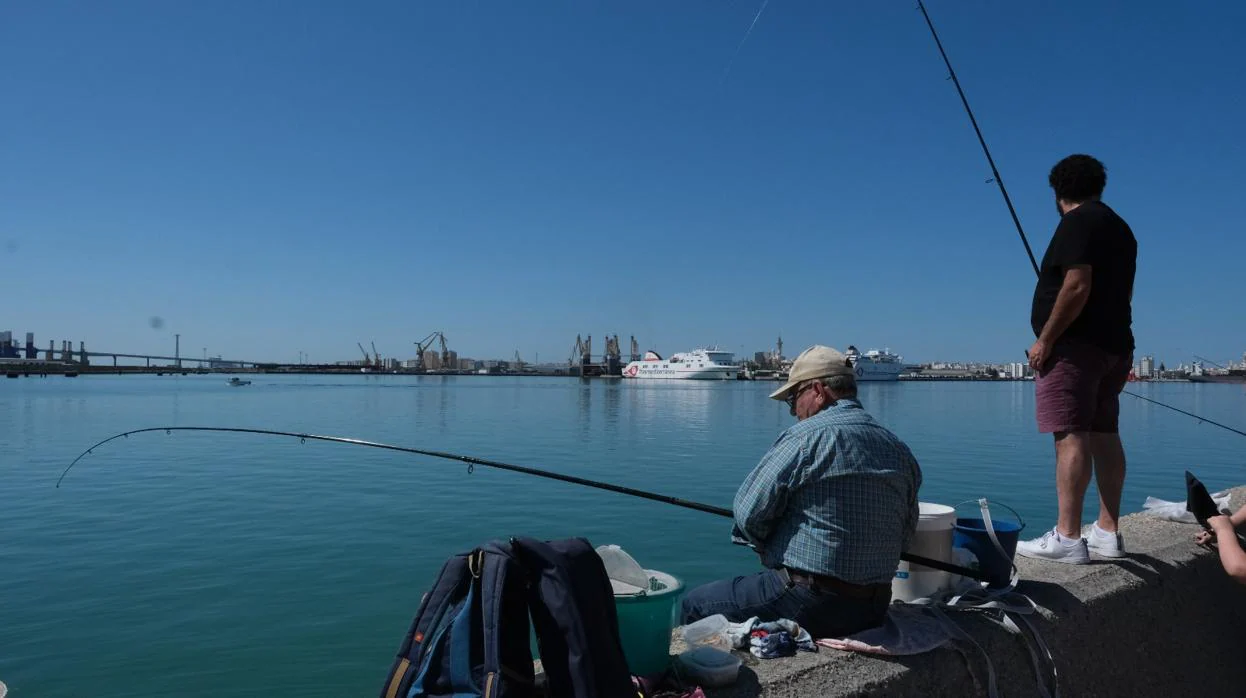 La provincia de Cádiz vuelve a disfrutar de la pesca recreativa