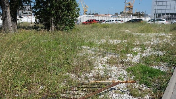 Ciudadanos denuncia la falta de mantenimiento de parques y jardines en Cádiz