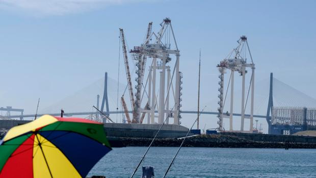 Dos nuevos colosos emergen en la Bahía de Cádiz