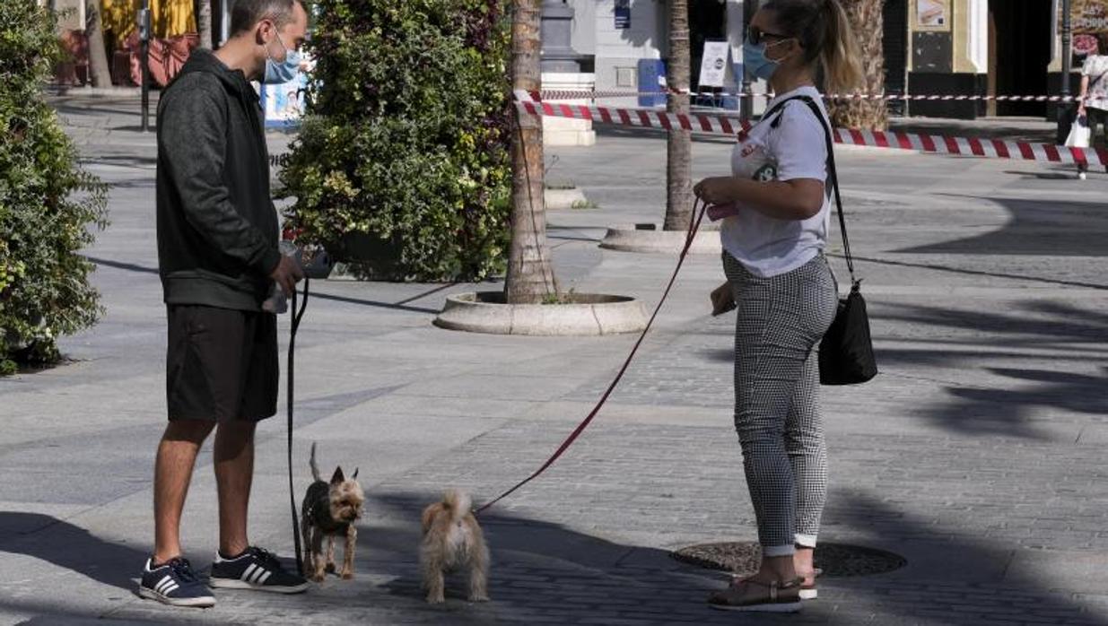 Dos gaditanos pasean a sus mascotas en el centro de la ciudad.