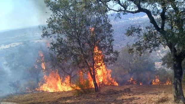 Más de 370 efectivos del Infoca lucharán contra el fuego en la provincia de Sevilla