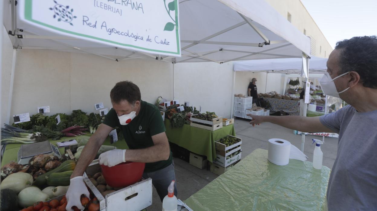 Todas las medidas de prevención se adoptan en este mercadillo.