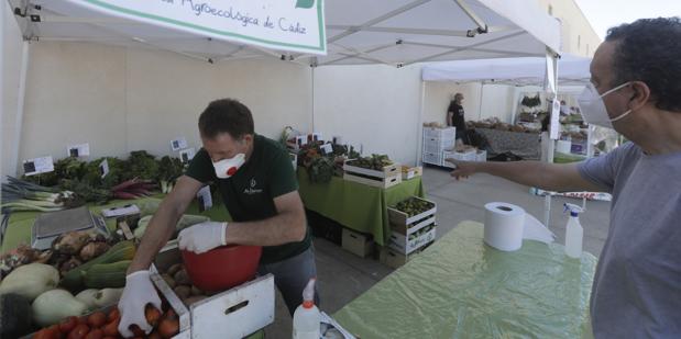 Medidas especiales en la vuelta del mercadillo ecológico de Los Toruños