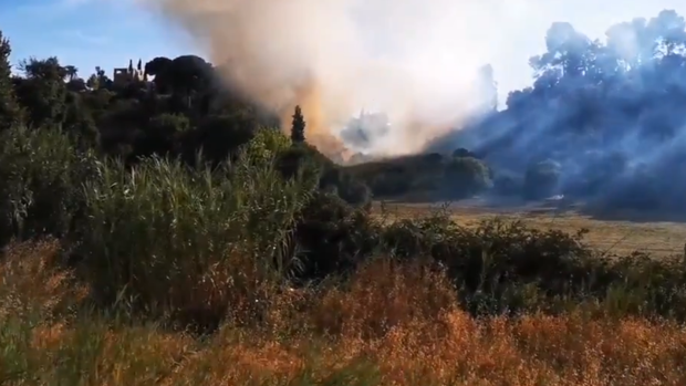 Controlado el incendio originado este sábado en una zona de cañaveral entre Gelves y Mairena del Aljarafe