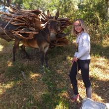 Teresa Lozano aprende con su familia las tareas de la saca en su finca La Trapera, en Constantina