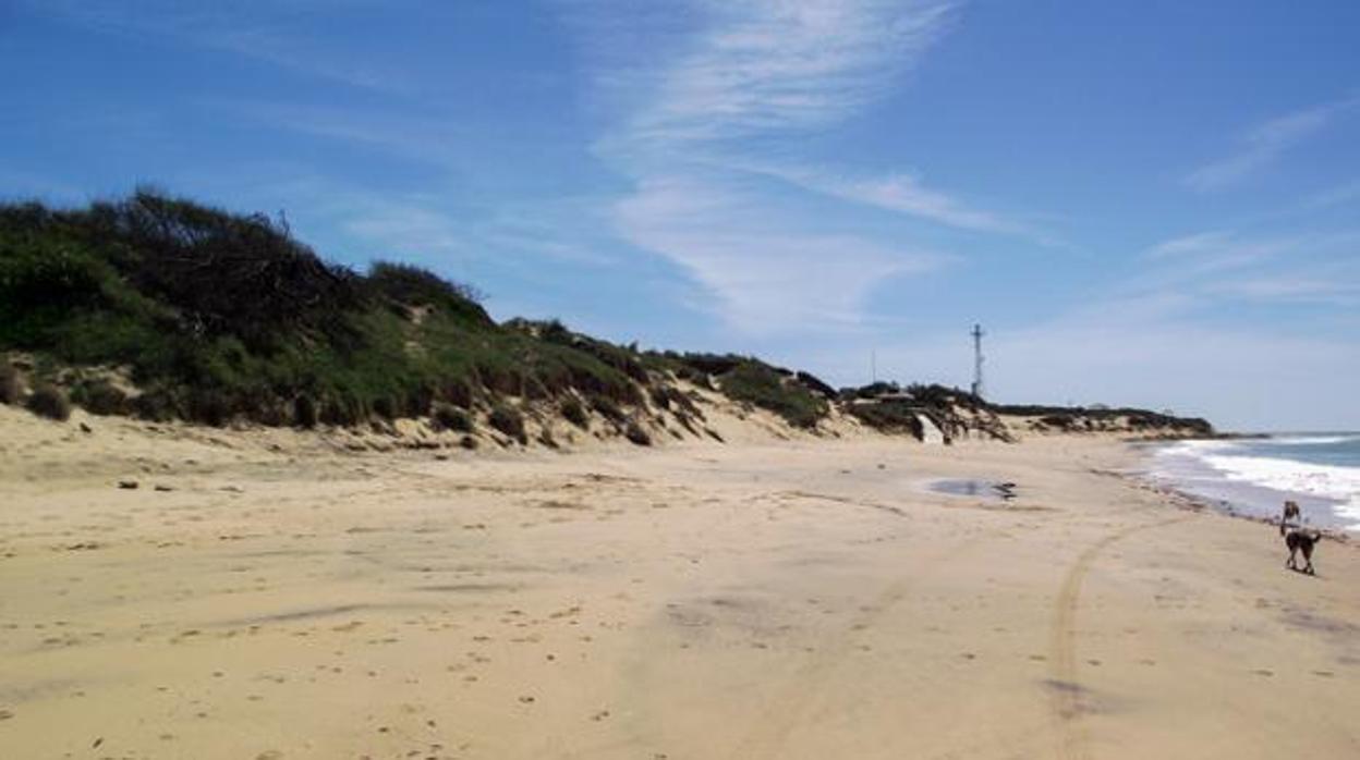 Rota cierra sus accesos a la playa de Punta Candor tras completarse el aforo permitido