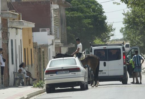 Otra estampa de la calle