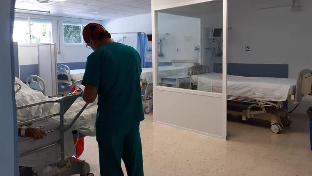 Coronavirus en Cádiz: Dos nuevos hospitalizados y cuatro contagios en 24 horas