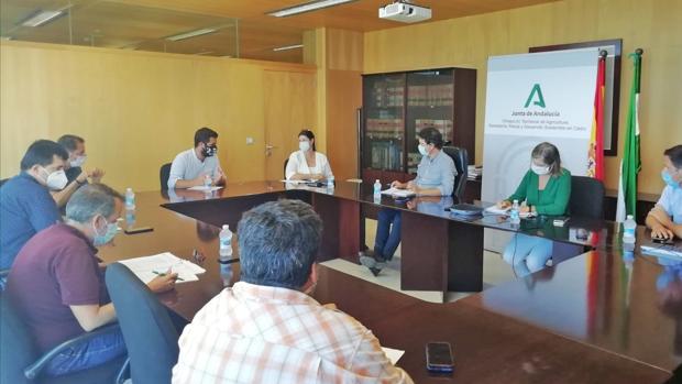 La Junta trabaja en desbloquear el proyecto All-Gas en Chiclana