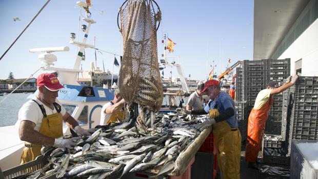 Cádiz, a la cola de Andalucía en contratación en el sector primario