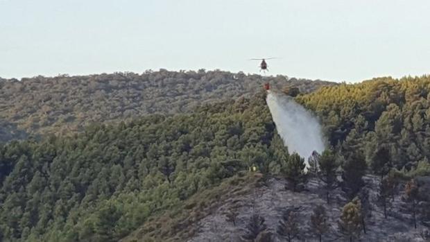 Estabilizado el incendio forestal en un paraje natural de Olvera