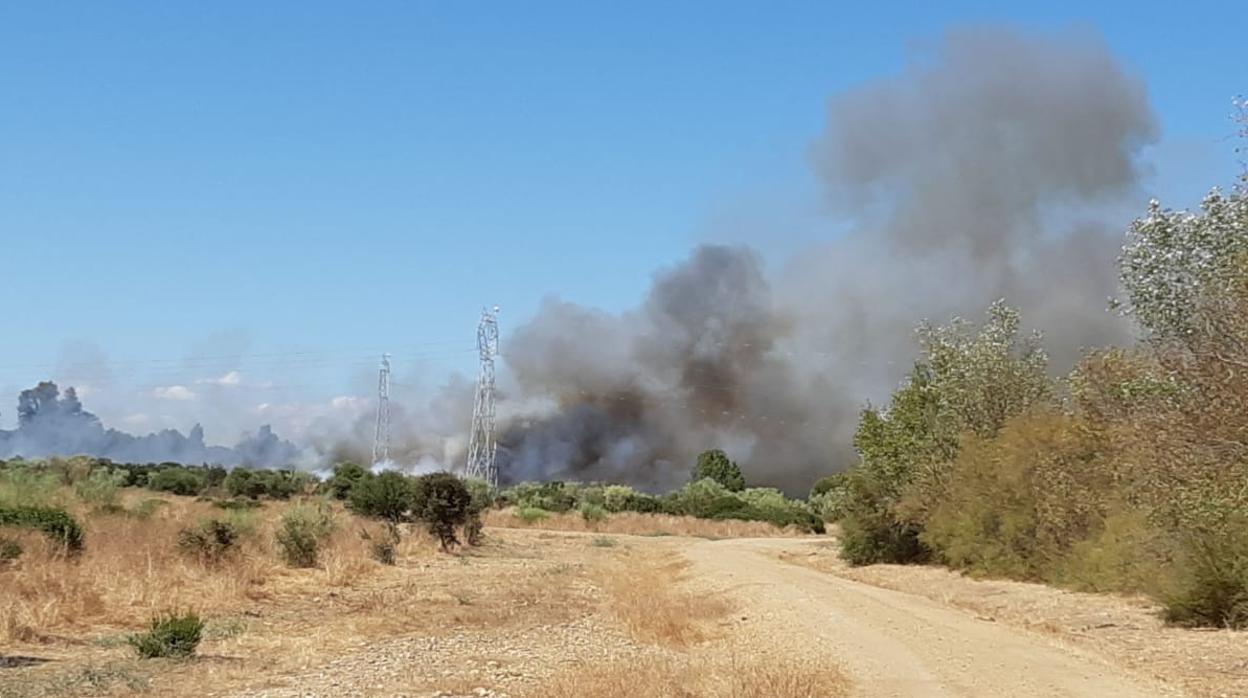 Incendio en Sanlúcar la Mayor