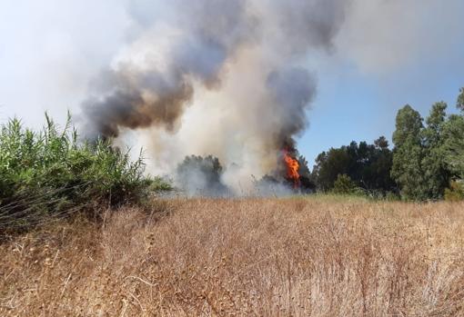 Incendio este viernes en Sanlúcar la Mayor