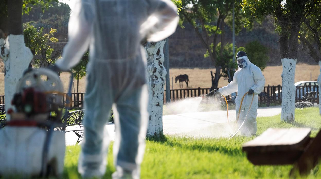 Las labores de fumigación se han intesifiacdo estos días en los municipios ribereños de la provincia de Sevilla