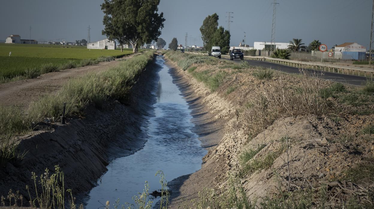 Uno de los canales de riego de un arrozal existente entre La Puebla del Río e Isla Mayor