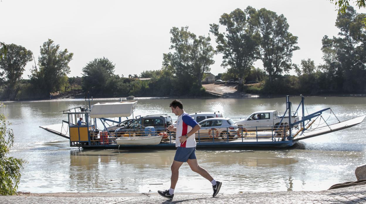 Una persona corre por la ribera fluvial del Guadalquivir en Coria del Río