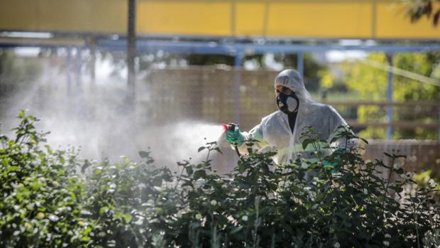 La Junta de Andalucía inicia este miércoles la fumigación con drones para eliminar al mosquito