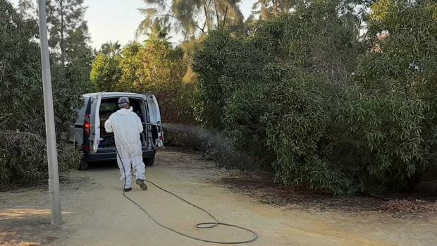 El virus del Nilo se cobra la cuarta víctima mortal en Sevilla: un hombre de 78 años que recibió el alta