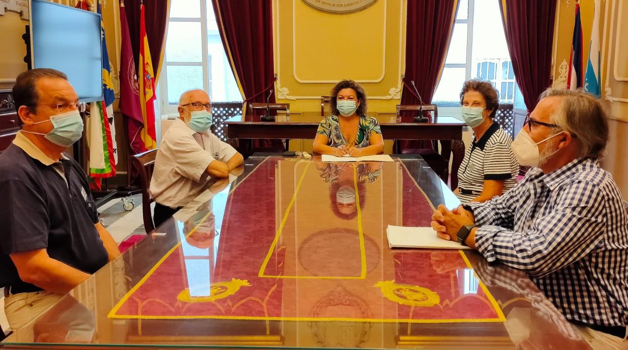 El Ayuntamiento analiza la crisis del Covid-19 con los colegios de médicos y enfermería de Cádiz