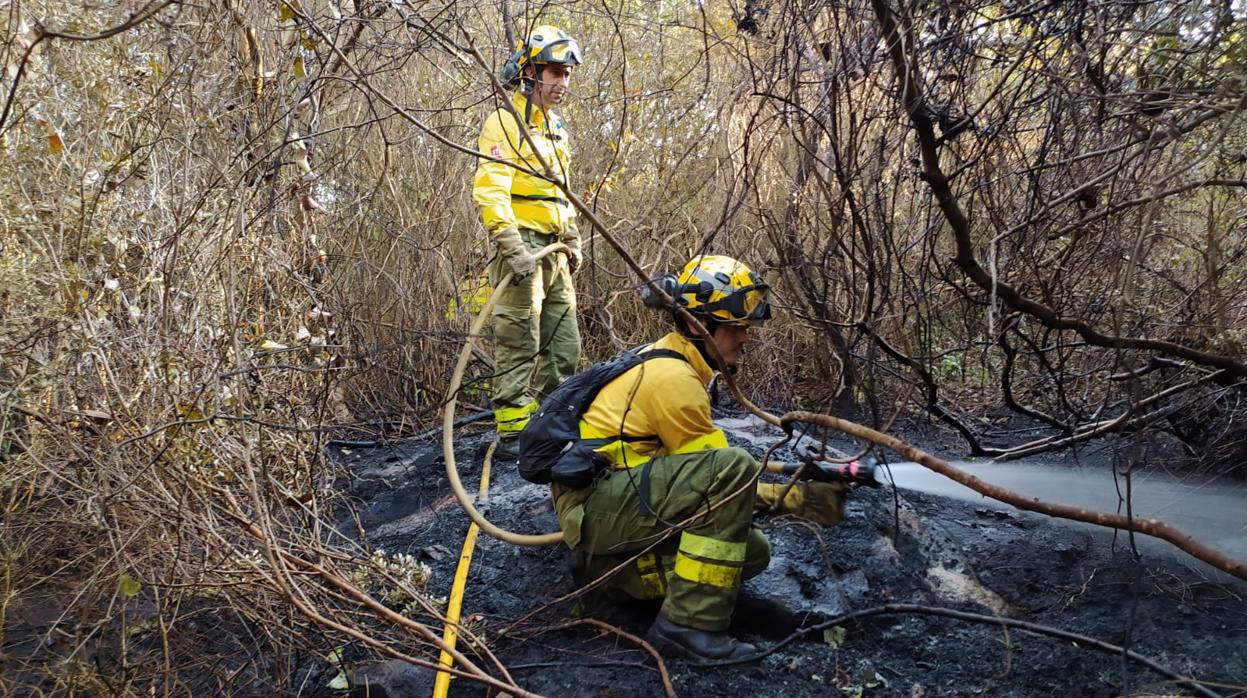 Miembros del Infoca trabajando en la extinción del incendio.